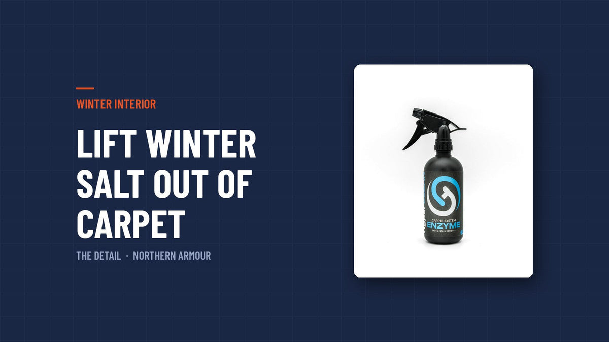 Lift winter salt out of carpet